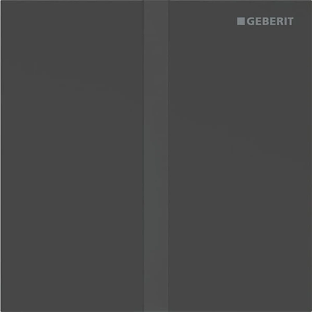 Geberit Tip 40 Mat Siyah Pisuvar İçin Kumanda Kapağı - 116.237.14.1