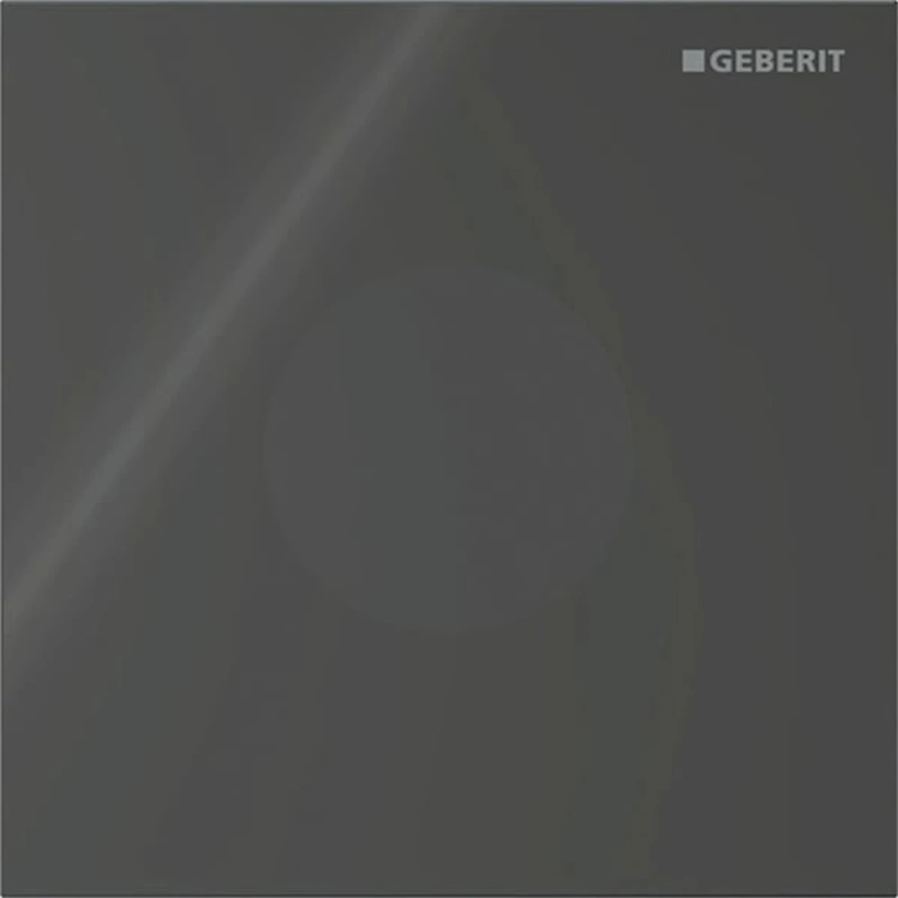 Geberit Tip 40 Siyah Cam Pisuvar İçin Kumanda Kapağı - 116.034.SJ.1
