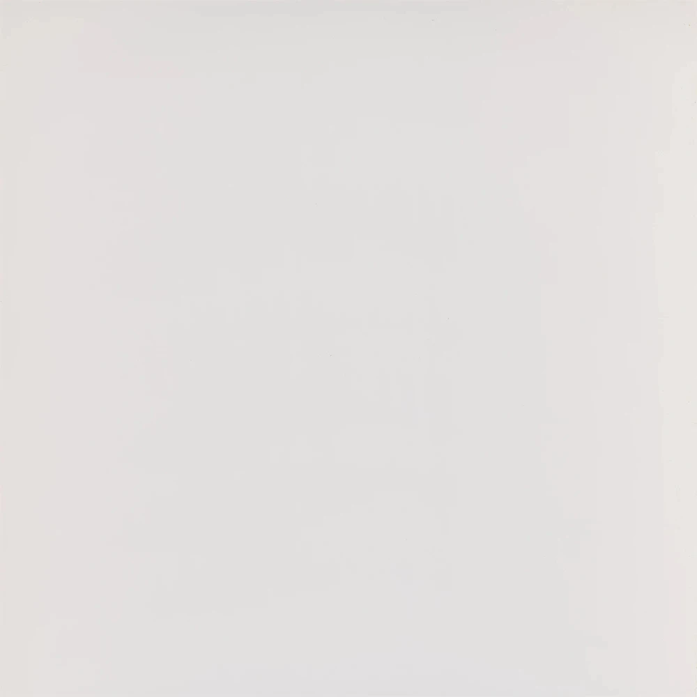 Kalebodur Gs-D8421R Code Kemik Mat Rektifiyeli 60x60 R
