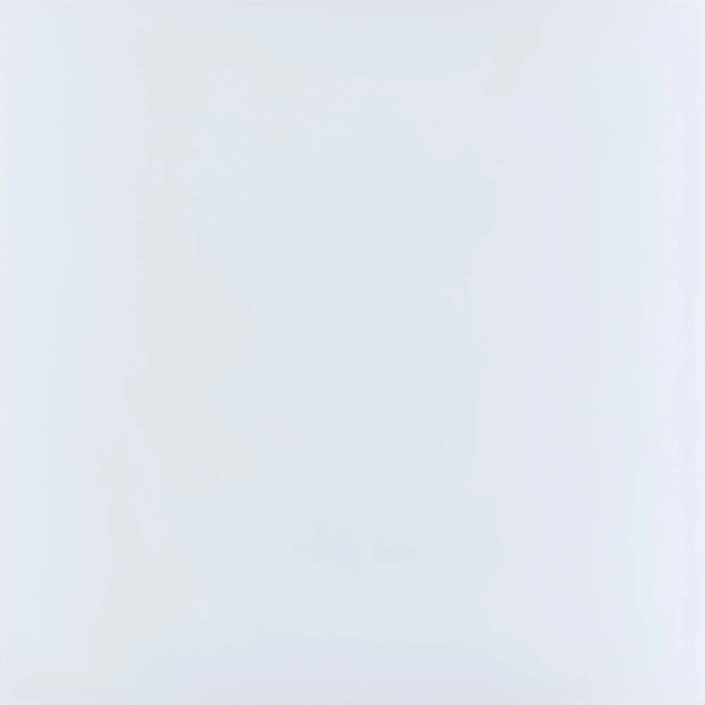 Kalebodur Gs-D8420R Code Beyaz Mat Rektifiyeli T 60x60 R