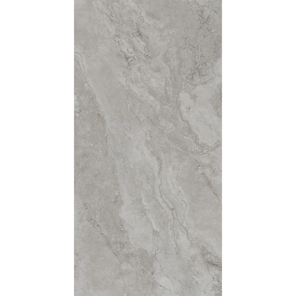 T-One Earth Rapolano Silver 6 mm Mat Porselen Plaka 162x323