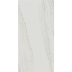 Edilgres Palissandro Beyaz Mat 60x120 X