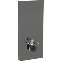 Geberit Monolith Plus 114 Cm Antrasit Cam Asma Klozet İçin Rezervuar Modülü - 131.231.JK.7