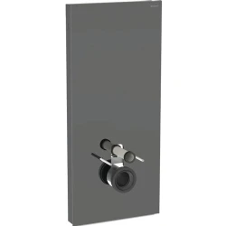 Geberit Monolith Plus 114 Cm Antrasit Cam Asma Klozet İçin Rezervuar Modülü - 131.231.JK.7