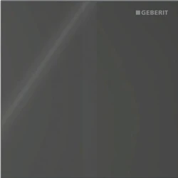 Geberit Tip 40 Siyah Cam Pisuvar İçin Kumanda Kapağı - 116.227.SJ.1 Hemen Al