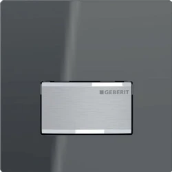 Geberit Tip50 Antrasit Cam Pisuvar İçin Kumanda Kapağı - 116.016.JK.5