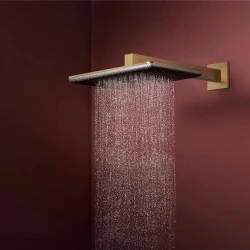 Hansgrohe Raindance Alive Q 210/340 2jet Mat Bronz Tepe Duşu - 24550140
