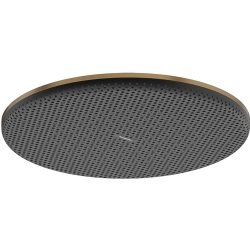 Hansgrohe Raindance Alive S 300 1jet Mat Bronz Tepe Duşu - 24520140