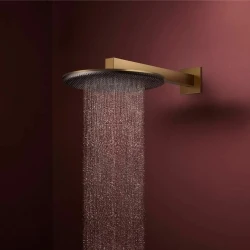 Hansgrohe Raindance Alive S 300 1jet Mat Bronz Tepe Duşu - 24520140
