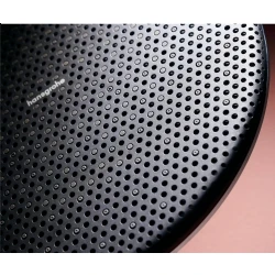 Hansgrohe Raindance Alive S 300 1jet Mat Bronz Tepe Duşu - 24520140