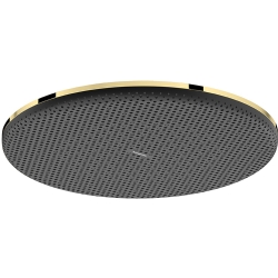 Hansgrohe Raindance Alive S 300 1jet Parlak Altın Tepe Duşu - 24520990