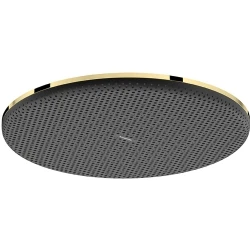 Hansgrohe Raindance Alive S 300 1jet EcoSmart Parlak Altın Tepe Duşu - 24521990