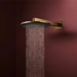 Hansgrohe Raindance Alive S 300 1jet Parlak Altın Tepe Duşu - 24520990