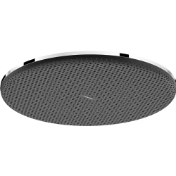 Hansgrohe Raindance Alive S 300 1jet EcoSmart Tepe Duşu - 24521000