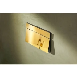 Hansgrohe iFrame Element E Altın Gömme Rezervuar Paneli - 66003990