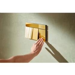 Hansgrohe iFrame Element E Altın Gömme Rezervuar Paneli - 66003990