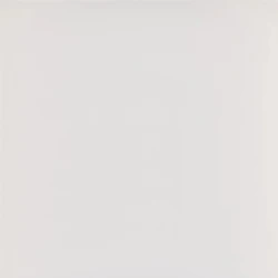 Kalebodur Gs-D8421R Code Kemik Mat Rektifiyeli 60x60 R Hemen Al