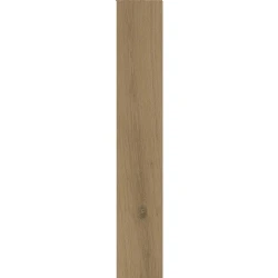Kalebodur Gs-N9025 Uddo Gold 20x120 Hemen Al