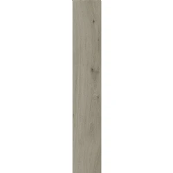 Kalebodur Gs-N9026 Uddo Silver 20x120 Hemen Al