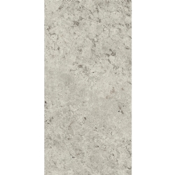 Kalebodur Mpb-R1120 Tundar Açık Gri 60x120