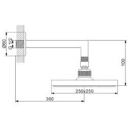Newarc Corner Duvardan Duş Başlığı - 470531ABS